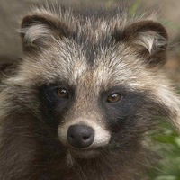 Роман Белоозерский