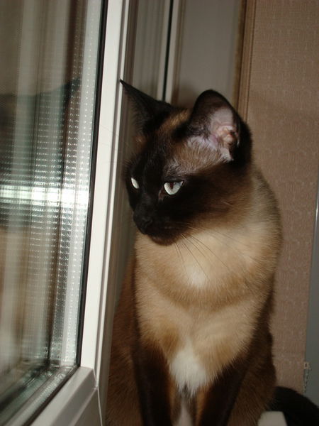 Лариса Игнатова