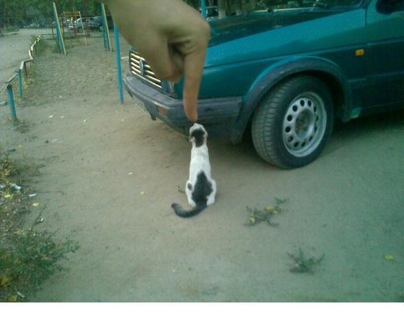 Nurdaulet Raushanbek