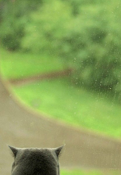 Дмитрий Моисеев