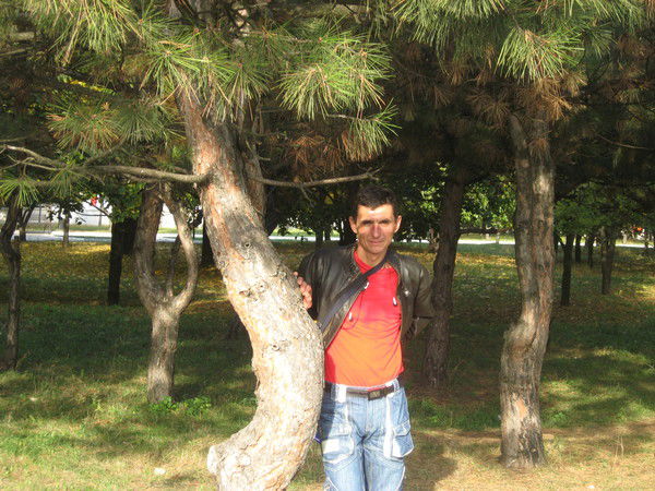 Александр Лебединский