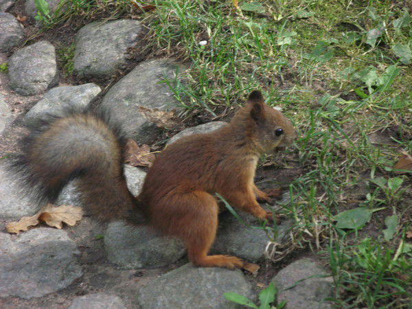 Татьяна Василеня