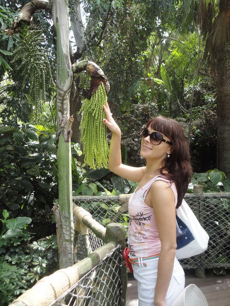 Елена Волкова