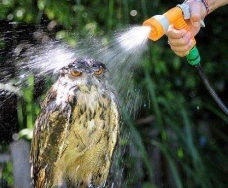 Александр Нарышкин