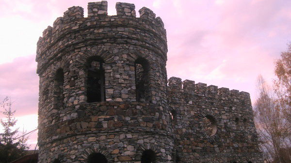 Виктор Ботанов