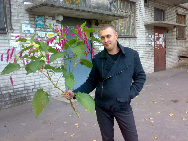 Антон Бриль