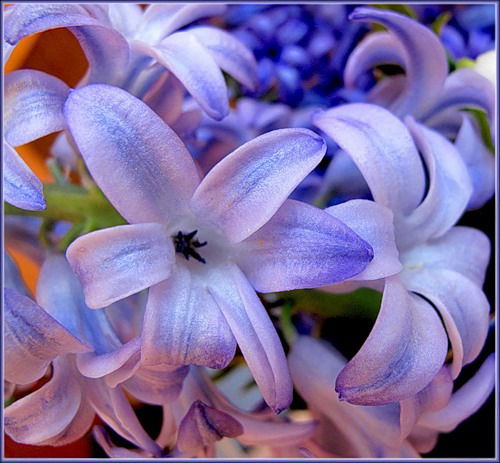 Наталья Портнова