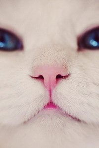 Мария Борсук