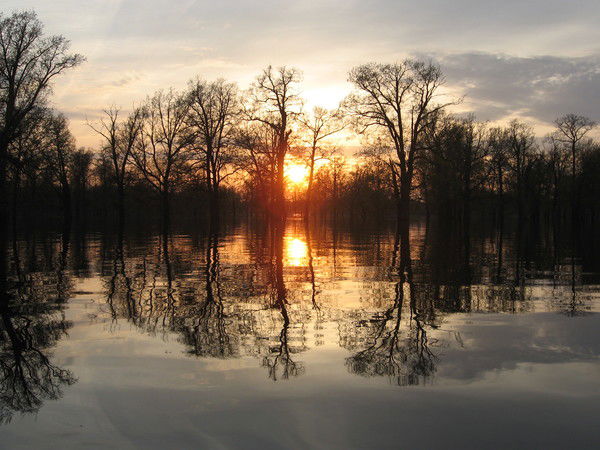 Михаил Устинов