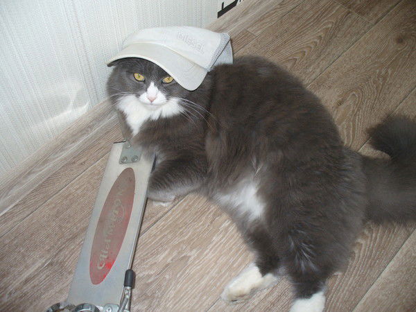 Алексей Данько