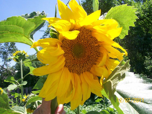 Гузалия Габдуллина