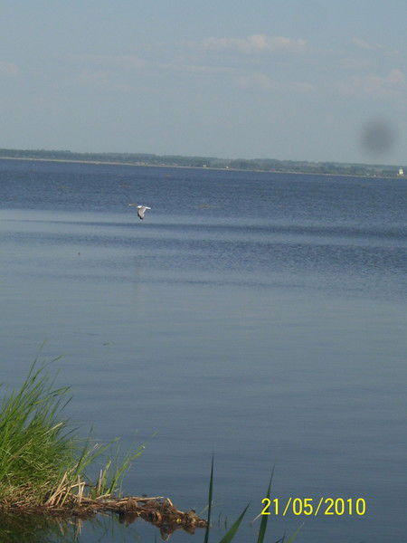 Оксана Кондратьева