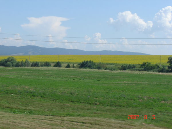 Александр Голубев