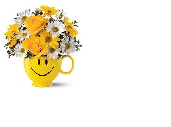 Ирина Бровкина