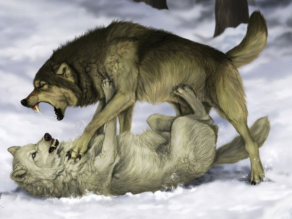 Раиль Куручев