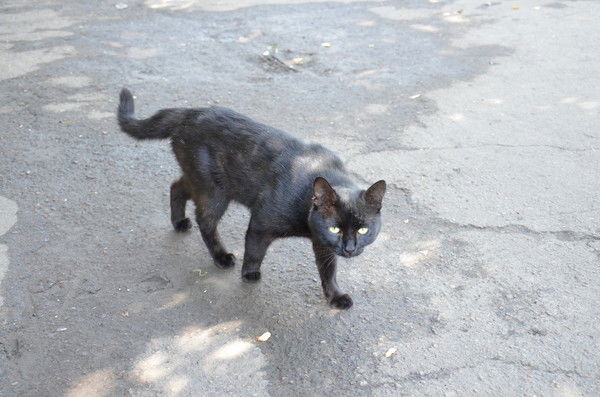 Виктор Хорьяков