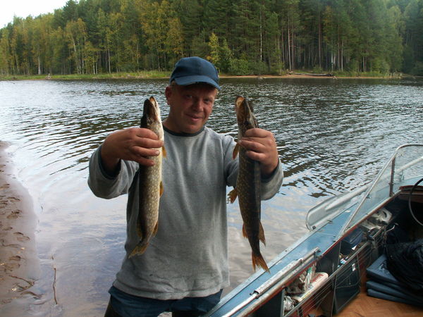 Дмитрий Старцев