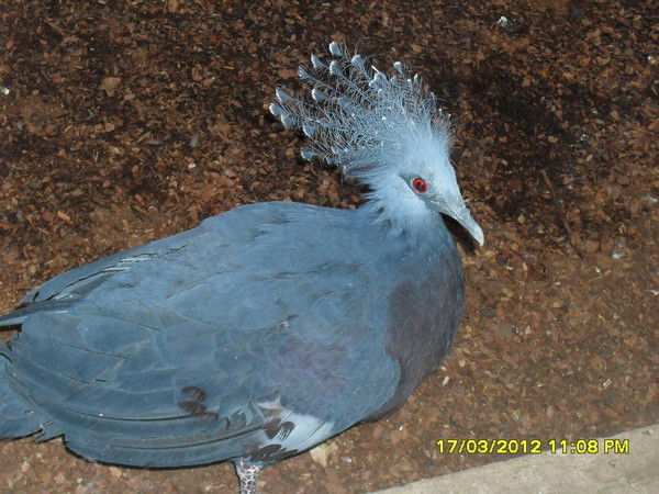 Ольга Ольга