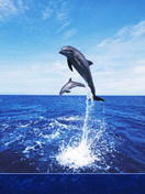 Фатима Исмелова