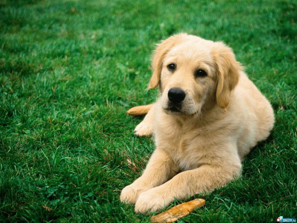 Светлана Соськова