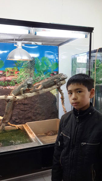 Айгуль Агисенова