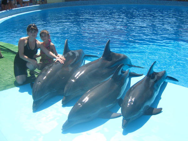 Неля Ломейко(Шелудько)