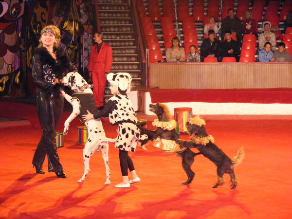 Людмила Семейкина