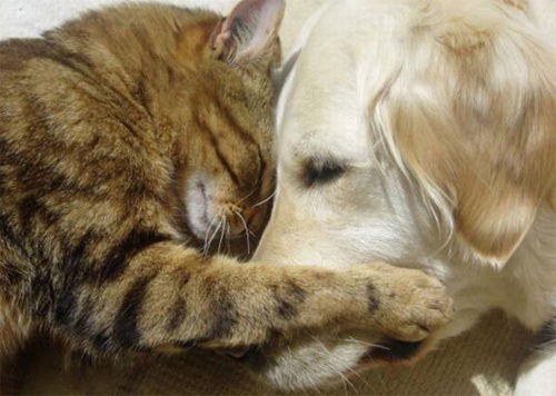 Катерина Гордеева