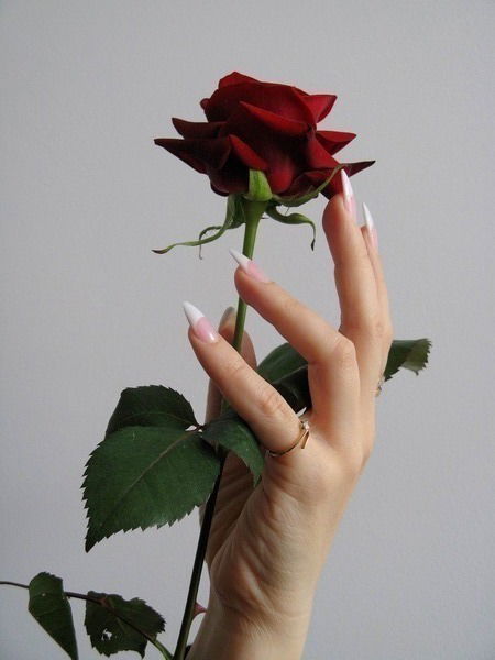 Филиал Тпэп