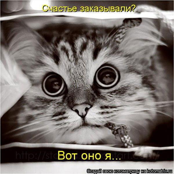 Татьяна Сысоева