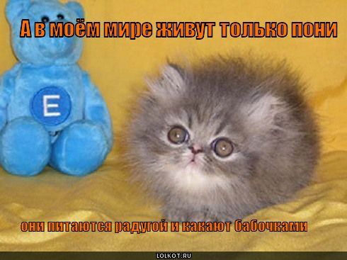 Ксения Щеглова