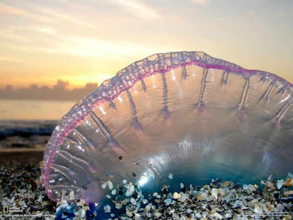 Анастасия Рушкина