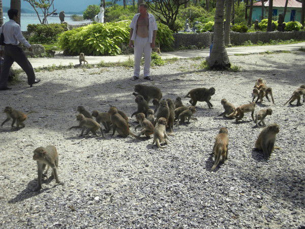 Алексей Кулемин