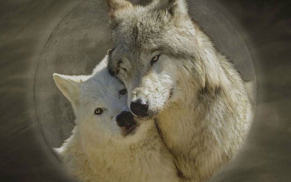 Олег Козловский