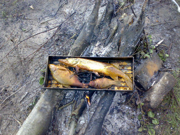 Неизвестно Неизвестно