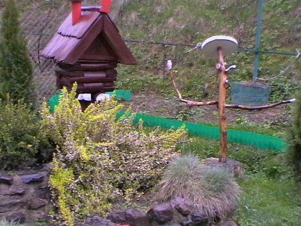 Игорь Тарасов