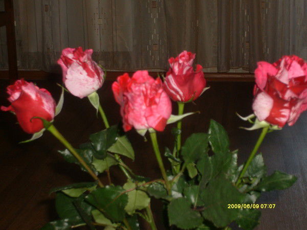 Наталья Добрынина