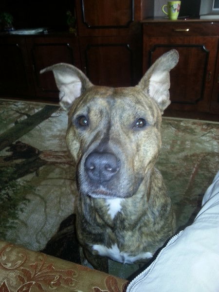 Игорь Галушкин