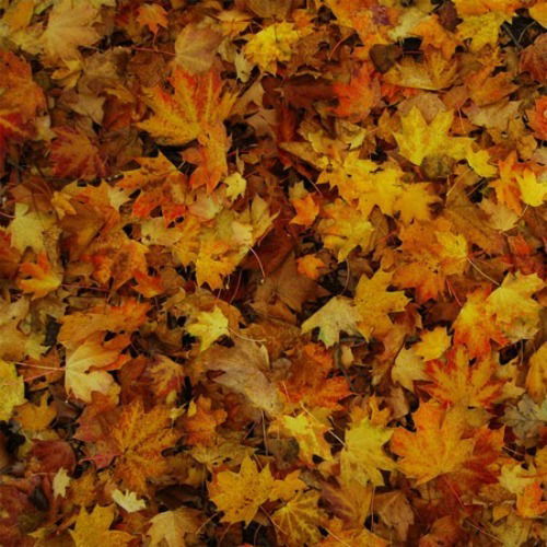 Серик Тахан