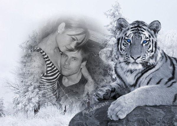 Валентин Прокоп