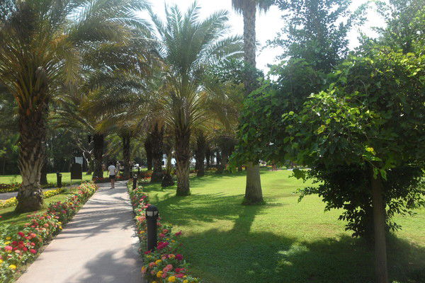 Иральия Абулхаирова