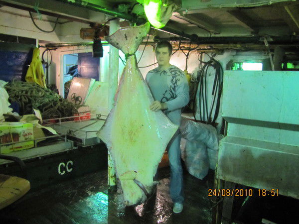 Вова Долгов