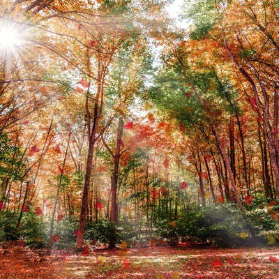 Саша Хамматова