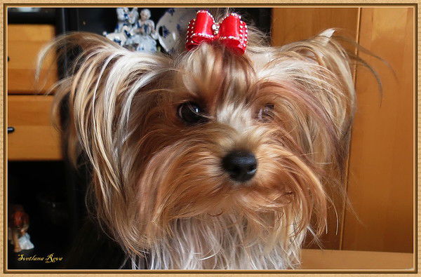 Галина Кудрявцева