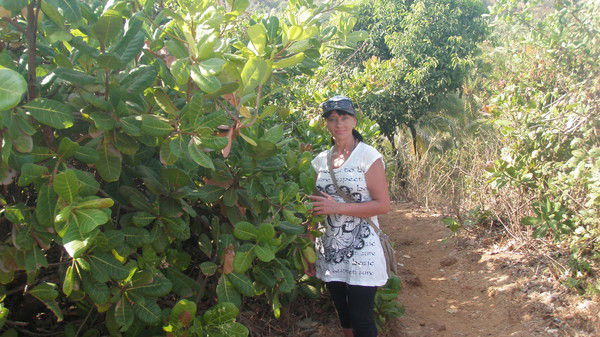 Антонина Горбунова