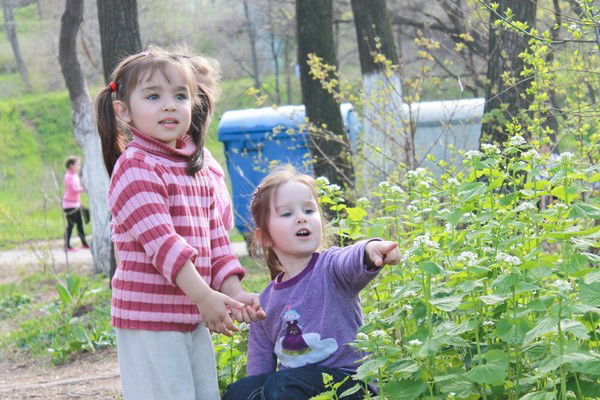 Гоцульский Владимир
