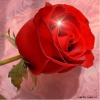 Город Стоматология