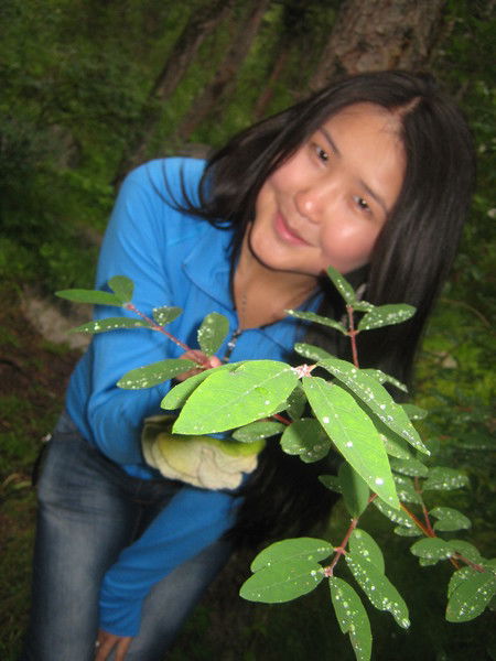 Nurzada Kylychbekova