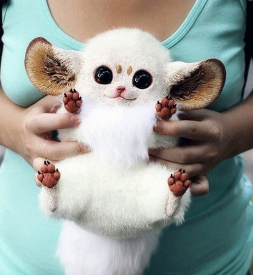 Надежда Черникова