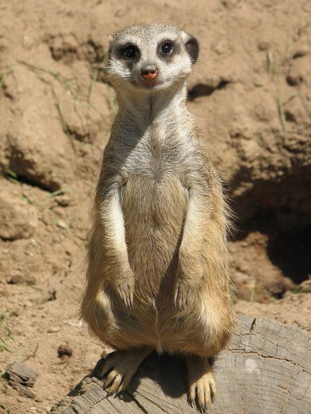 Эдуард Капустин